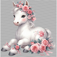 Valentine's Day-QRJ  5849